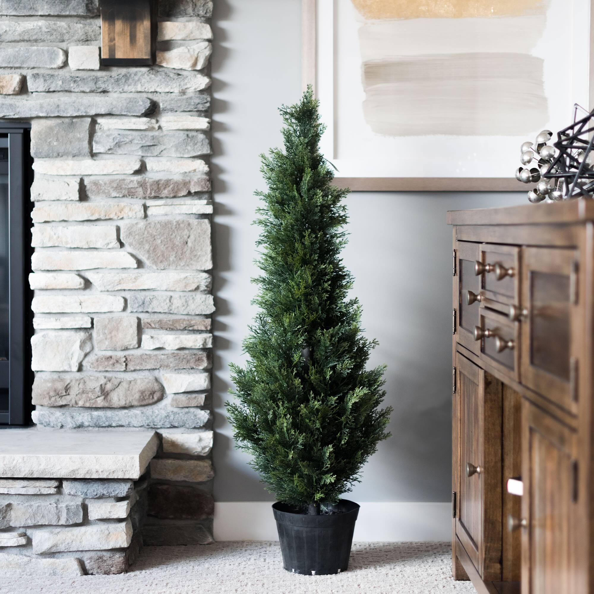 3ft. Potted Cedar Tree
